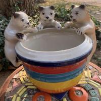 ราคา แมวเกาะขอบอ่าง กระถาง (8651692144)