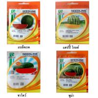 ราคา เมล็ดแตงโม (watermelon seeds) แตงโม ต้นแตงโม เมล็ดผักต่างๆ เมล็ดพันธุ์ผัก เมล็ดพันธุ์ไม้ เมล็ดพันธุ์ เมล็ดผัก เมล็ดพันธุ (18150362509)