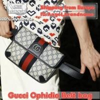 ราคา กุชชี่ GUCCI Ophidia Belt bag กระเป๋าสะพายสำหรับผู้ชาย (28321506314)