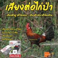 ราคา เสียงต่อไก่ป่า (เสียงตัวผู้ 3ชั่วโมงแรก+เสียงตัวเมีย 3ชั่วโมงท้าย) ไม่มีโฆษณา เมมโมรี่เล็ก(Micro SD) มีเก็บเงินปลายทาง (14875432816)