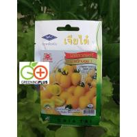 ราคา มะเขือเทศเชอรี่ สวีทบอย Cherry tomato sweet boy (40873210455)