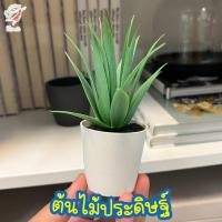ราคา ต้นไม้ปลอมในกระถาง ต้นไม้ประดิษฐ์ เฟคก้า Fejka IKEA (2348535911)