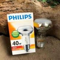 ราคา โคมไฟฮีตเตอร์ NR63 40w Philips เครื่องอุ่นไก่ไก่ทอด 40 วัตต์ Philips NR 63 (27132297717)