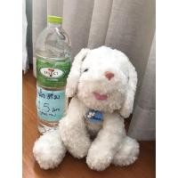 ราคา ตุ๊กตาหมา ตุ๊กตาสุนัข สีขาว St.Andrew the happy family เต้าฮวย ตุ๊กตาน่ารัก ของเล่นเด็ก ตุ๊กตามือสอง (9944114491)