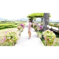 ราคา ชุดมินิเดรสลายเชิอรี่สีชมพู (2846400280)