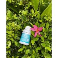 ราคา Healthy Care Ginkgo Biloba 2000 100 Capsules กิงโกะและแปะก๊วย บำรุงสมอง เพิ่มความจำ ป้องกันสมองเสื่อม ของแท้ เพร้อมส่ง (4676142945)