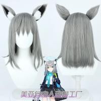 ราคา วิกผมทรงวูล์ฟสีเทาสำหรับผู้ชาย พร้อมหู (56553892419)