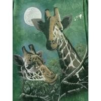 ราคา เสื้อยืดมือสอง THE MOUNTAIN XL อก 48 (5096560353)