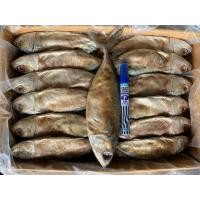 ราคา ปลาทูหอมจัมโบ้ 7 ตัว/kg ขายส่ง 10 kg. ราคาโรงงานโดยตรง (3069082543)