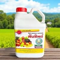 ราคา พันทิพย์ น้ำขาว หวีทอง 5 ลิตร ธาตุอาหารรอง ธาตุอาหารเสริม (24044429591)