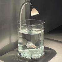 ราคา โปร่งใสตู้ปลาขนาดเล็กคริสตัลน้ำแข็งเดสก์ท็อปCreative Ecoological Betta Fish Tankเพิร์ลเพชรภูมิทัศน์ (44026416877)