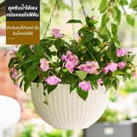 ราคา กระถาง กระถางพลาติก กระถางแขวน พร้อมโซ่ ทรงกะลามะพร้าว ร้อมรูระบายน้ําตะกร้าไฮโดรโพนิพลาสติกสวน (27323479051)