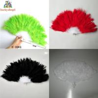 ราคา พัดลมขนนกประณีตเหมาะสําหรับชุดแฟนซีของผู้หญิงงานปาร์ตี้และตกแต่งบ้าน (55653573274)