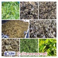 ราคา ยอด/ใบ อ่อน ขี้เหล็กต้มตากแห้ง (23716644247)