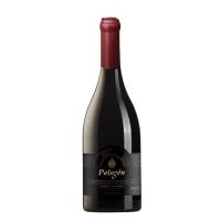ราคา Patagón Family Reserve Cabernet Sauvignon ขวดไวน์เปล่า สำหรับตกแต่งบาร์และงานสไตล์ ดีไซน์หรูหรา ใช้ตกแต่งได้หลายแบบ หลาย (48202443229)