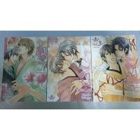ราคา การ์ตูนวาย /ห้วงรักไฟเสน่หา (3เล่มจบ)/ (10965296794)