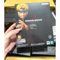 ราคา Bandai SHF Naruto Shippuden Uzumaki Naruto Figure Battle Scar Version TNT Limited Action Figure (42251203864)