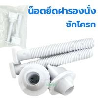 ราคา น๊อตยึดฝารองนั่งชักโครก SB (น็อตยึดฝารองนั่ง) น็อตฝารองนั่ง ฝารองนั่ง น็อตยึดชักโครก (23507389649)