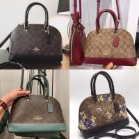 ราคา โดมมินิ 10” coach ร้านนี้การันตีของแท้จ้า (1607621506)