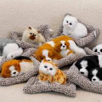 ราคา ตุ๊กตาดับกลิ่น ตุ๊กตาดูดกลิ่น ตุ๊กตาหน้ารถ แมวดูดกลิ่นรถ แมวดับกลิ่นรถ ตุ๊กตาดับในรถ ตุ๊กตาแมวดับกลิ่น ตุ๊กตาดับกลิ่นในร (43801659068)