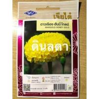 ราคา ดาวเรือง ฮันนี่ โกลด์ เมล็ดพันธุ์เจียไต๋ สินค้าพร้อมส่ง (682348501)