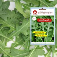 ราคา เมล็ดพันธุ์ผักสลัดร็อคเก็ต – Rocket Salad (เมล็ดพันธุ์คุณภาพดี) (4240062703)