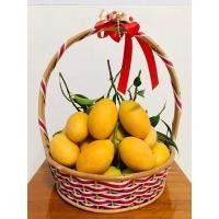 ราคา มะปรางหวาน มะยงชิด พันธุ์ทูลเกล้า (23331534158)