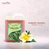 ราคา น้ำผึ้งดอกไม้ป่า บรรจุแกลลอน 1,500 กรัม Forest Honey น้ำผึ้งแท้ 100% แบรนด์ Golden Bee ตรงจากฟาร์มผึ้งพัฒนกิจ เชียงใหม่ (5433239545)