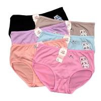 ราคา (ส่งจากไทย) (แพค10ตัว) กางเกงในผ้านุ่มคอตตอนผสม สีเรียบคละสี สกรีนลายน้องแมว ระบายอากาศได้ดี (24919886050)