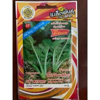 ราคา เมล็ดผักชุนฉ่าย 10 แถม 1 ผักชุนฉ่าย บิ๊กเขียวน้อย leaf mustard เมล็ดพันธุ์ผัก ชุนฉ่าย (17569349484)