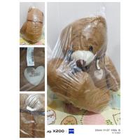 ราคา พร้อมส่ง✅️[TOREBA][นำเข้าจากญี่ปุ่น]ตุ๊กตา หมี สีน้ำตาล ตัวใหญ่ Lovely Teddy Bear Big Plushy (16766778593)
