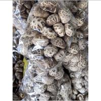 ราคา เห็ดหอมญี่ปุ่นดอกกลางหนา เห็ดลาย เกรดAAA5 น้ำหนัก 300 g (17942885254)