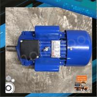 ราคา มอเตอร์ Okura 2HP 3HP 220V ขดลวดทองแดง 100% มอเตอร์ไฟฟ้า มอเตอร์ 2แรง 3แรง มอเตอร์กำลัง (4553545717)