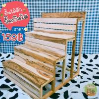 ราคา ชั้นไม้สักแบบขั้นบันได วางต้นไม้ วางแคนตัส งานไม้ราคาถูก (12436596919)