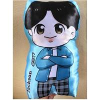 ราคา หมอนการ์ตูนแจ๊คสัน Got7 (1360598196)