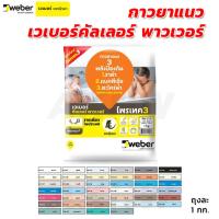 ราคา กาวยาแนวอย่างดี Weber เวเบอร์คัลเลอร์ พาวเวอร์ 1 กก. ป้องกันแบคทีเรีย ราดำ และตะไคร้น้ำ (24716744531)