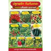 ราคา เมล็ดพันธุ์พริกขี้หนูสวน พริกชี้ฟ้า พริกหนุ่ม พริกยักษ์หวาน พริกขี้หนูหอม พริกเหลือง ภูเขาทอง (4156847883)