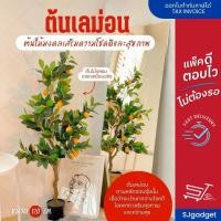 ราคา ต้นเลม่อน สูง 1.2 เมตร ต้นเลม่อนปลอม ต้นไม้ปลอม สำหรับตกแต่งบ้าน (21713010540)