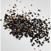 ราคา เมล็ดแคคตัส รวม 50 ชนิด ใส่แยกชนิดให้ในแต่ละซอง เมล็ดกระบองเพชร แคคตัส ยิมโนด่าง แอสโตรด่าง (14943881181)