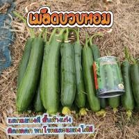 ราคา เมล็ดบวบหอม Smooth Loofah ตราภูเขาทอง เมล็ดพันธุ์บวบหอม เมล็ดพันธุ์ผัก เมล็ดพันธุ์ผักสวนครัว บวบหอม (5058887542)