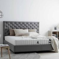 ราคา Dunlopillo ที่นอน 3.5 ฟุต รุ่น Ecstasy