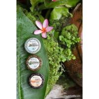 ราคา coconut oil lip balm Herb Dee Ka เฮิบดีค่ะ (7258385797)