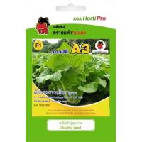 ราคา เมล็ดพันธุ์ ผักกาดขาวปลีเบา A3 ขนาด 1 กรัม ตรากบดำกบแดง เมล็ดพันธุ์ F1 เมล็ดผัก เมล็ดพันธุ์ผัก พืชสวนครัว (12737993588)