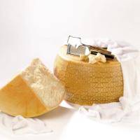 ราคา พาร์เมซานชีส กราน่า พาดาโน่ 16 เดือน Agriform Cheese Parmesan Cheese Grana Padano 16 Month +/- 15 กรัม (19792102637)