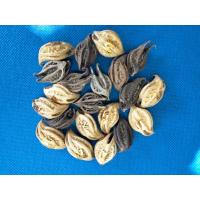 ราคา ว่านพญาเล็บครุฑ 2สีให้เลือก ป้องกันคุณไสย์เกี่ยวเงินทองเข้าบ้าน ว่านพญาเล็บครุฑ กระจับเงินกระจับทอง ดอกเล็บครุฑ (25569377403)