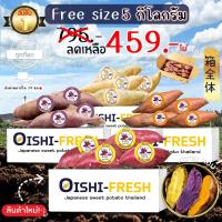 ราคา Oishi-Fresh มันหวานญี่ปุ่น 5สายพันธุ์ Beni haruka Okinawa Puple เนื้อ เหลือง ส้ม หอมหวาน อร่อย 5 กก.จัดส่ง 24 ชม. (4440360810)