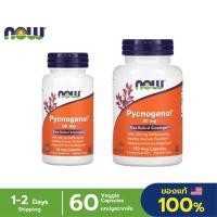ราคา Now Foods Pycnogenol French Pine bark 30 mg 60 Veg Capsules พิคโนจีนอล สารสกัดจากเปลือกสนฝรั่งเศษ (22471275196)