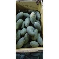 ราคา พร้อมส่งจ้ามะม่วงเขียวเสวยดิบแก่ เนื้อเหลืองๆ อร่อย(บรรจุ 1 กิโล) (17297236971)