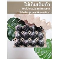 ราคา ไข่เค็มดิบ บรรจุ12ฟอง สูตรพอกดินจอมปลวก ราคาโปรโมชั่น (7959573691)