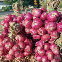 ราคา หอมแดงหัวใหญ่ หอมศรีสะเกษ ตรงปก100% มัดจุก 1 กิโล หอมแดงใหม่ (42353231989)